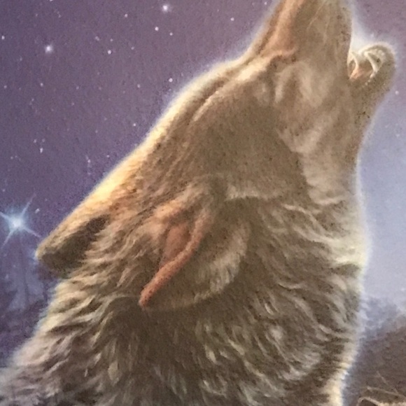 James Meger Call of the Night Wilderness Guardians Collector Plate Glows n Dark - Picture 3 of 10